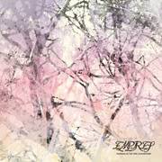 Patience In the Tide - Our Mother